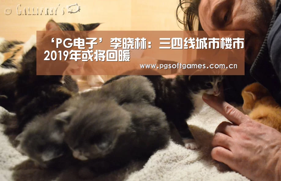 ‘PG电子’李晓林:三四线城市楼市2019年或将回暖(图1) PG电子