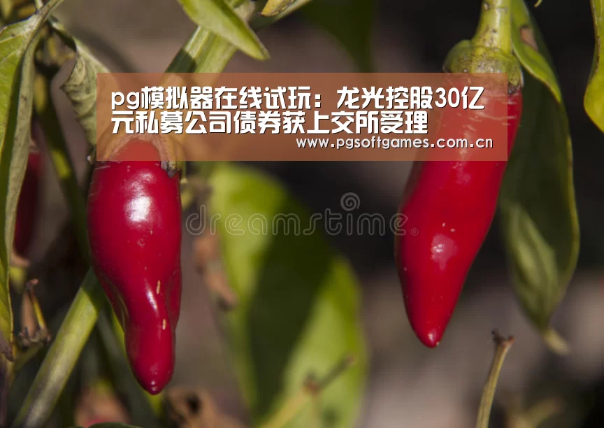 pg模拟器在线试玩