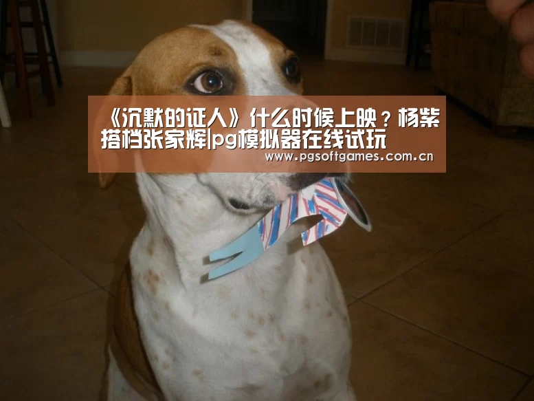 pg电子模拟器平台