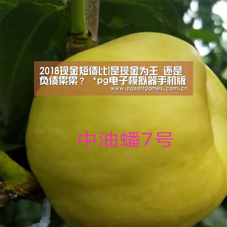 pg电子模拟器平台