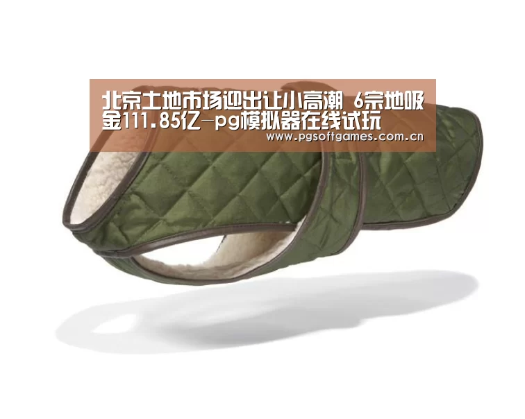 pg电子模拟器手机版