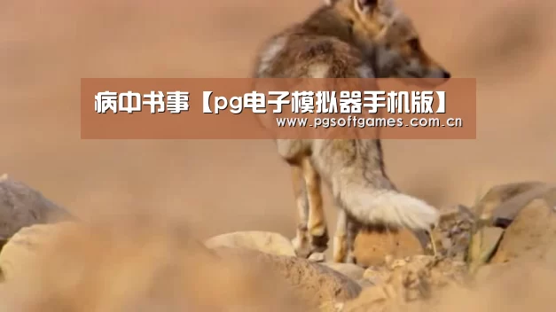 pg电子模拟器平台