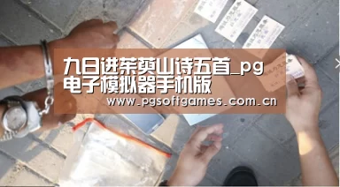pg电子模拟器手机版