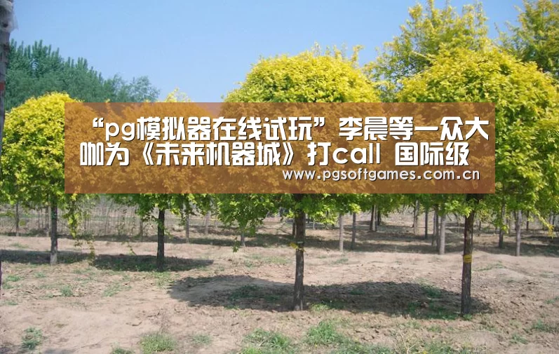 “pg模拟器在线试玩”李晨等一众大咖为《未来机器城》打call 国际级动画片首映获掌声无数(图1) PG电子